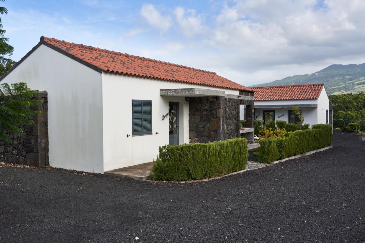 Villa 4 Seasons São Roque do Pico エクステリア 写真