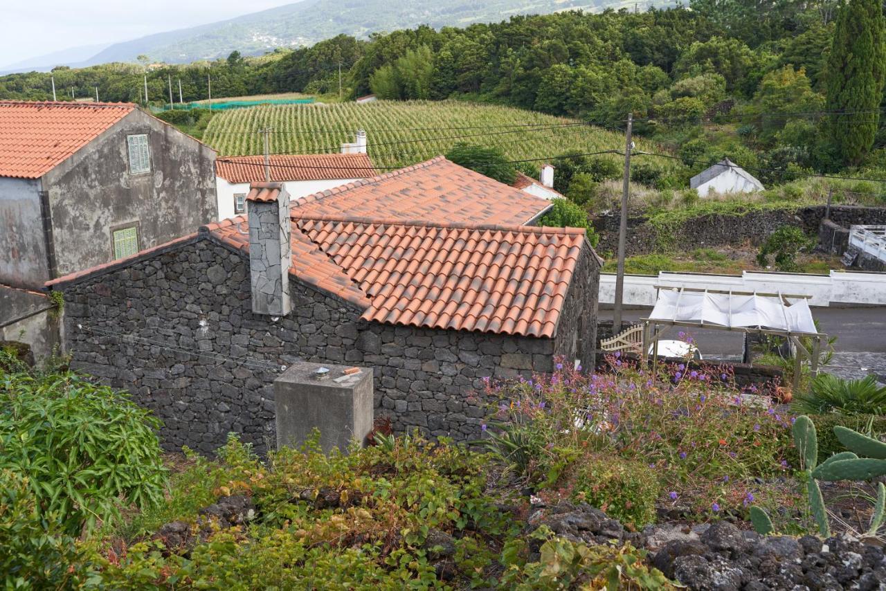 Villa 4 Seasons São Roque do Pico エクステリア 写真