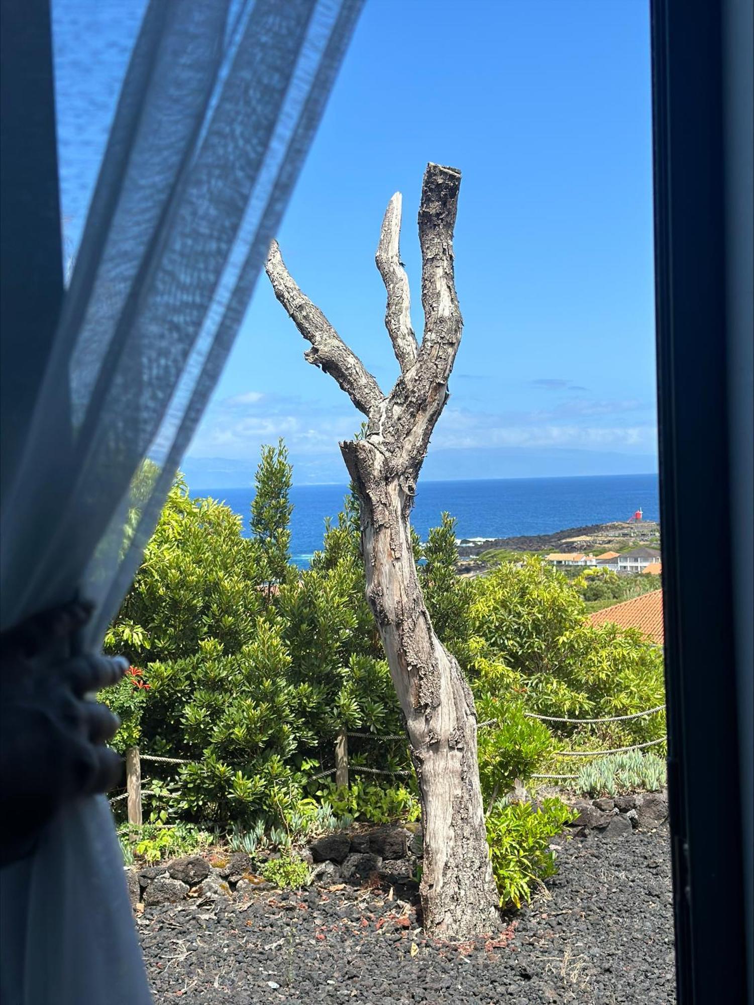 Villa 4 Seasons São Roque do Pico エクステリア 写真